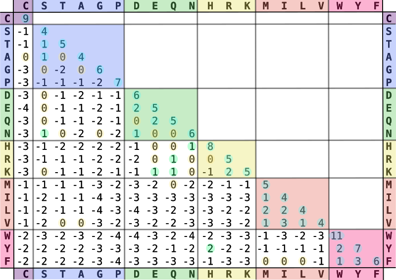 Figure 1: The BLOSUM matrix. CC BY-SA 4.0 via Wikipedia.